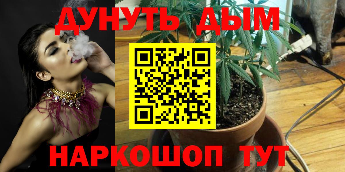 Апатиты  Марихуана сатива  Вход с VPN  МАРИХУАНА LSD WEED  Конопля тримм 